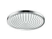 Душевая лейка для потолочного душа Hansgrohe ..