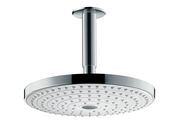 Тропический душ со стены Hansgrohe Raindance ..