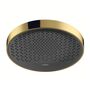 Верхний душ Hansgrohe Rainfinity 360, 1jet, полированое золото, 26231990