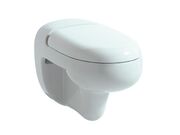 Унитаз подвесной Laufen Flora Kids 820031 31x..