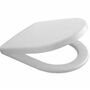 Сиденье с крышкой Soft Close для унитаза Villeroy&Boch Architectura, быстросъемное, 98M9C101